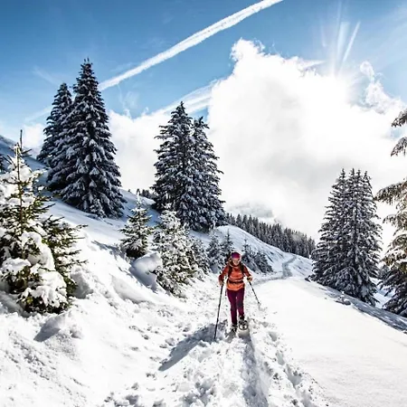 Gentianes Gna15 Mountain 1 Quiet 3 Pers Chatel